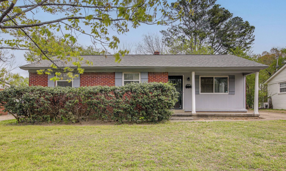 Ellendale House | Private Yard! Pet-Friendly Memphis Adventure Hub