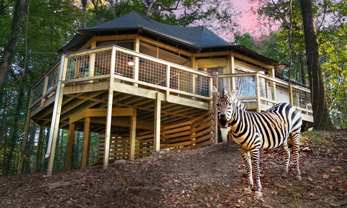 Troutman House | Private Zoo Experience+Private hot tub