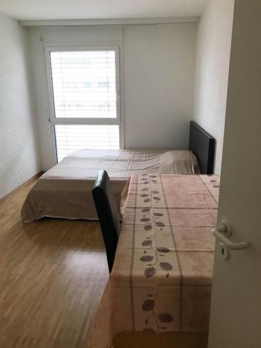 Lancy House | Prive room in new apartment at Chemin Daniel Ihly, Petit Lancy