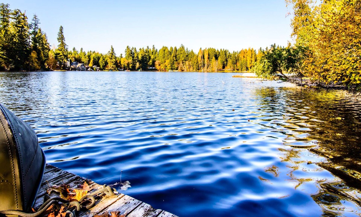 Lacey House | Profitable Lakefront home for sale - not currently renting