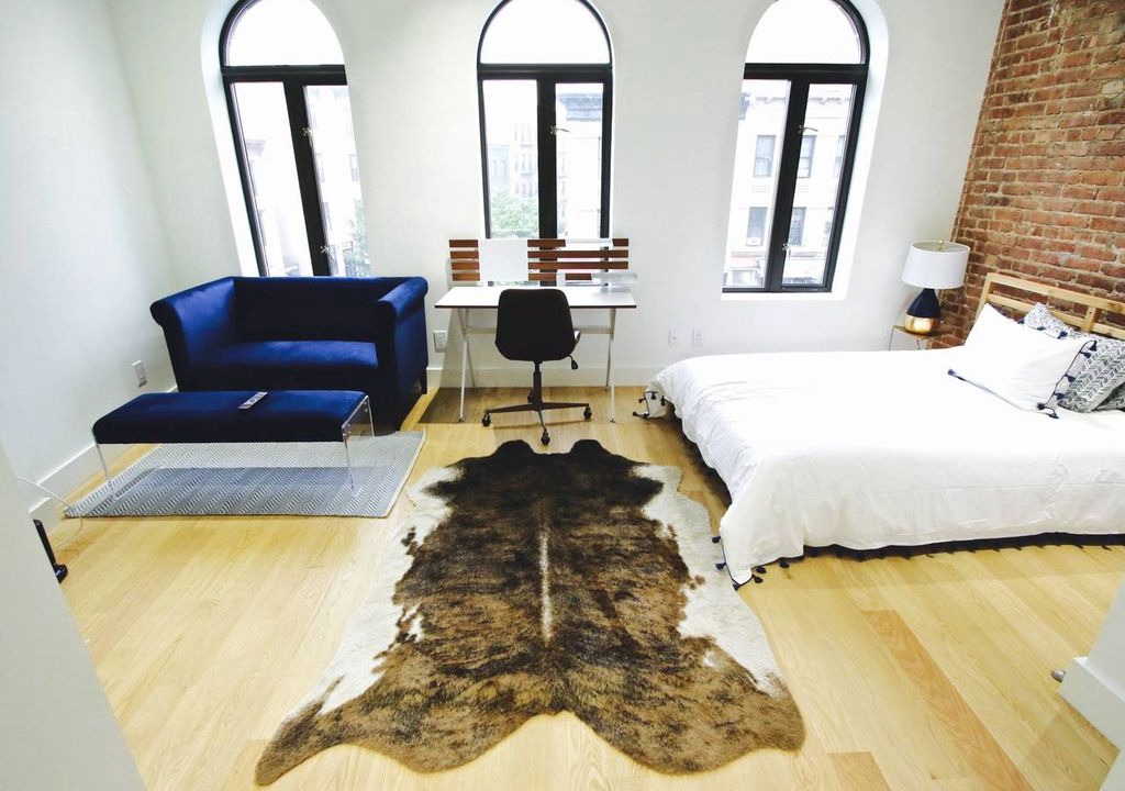 Prospect Heights Apartment | Prospect Heights BK Industrial Modern Studio Apt