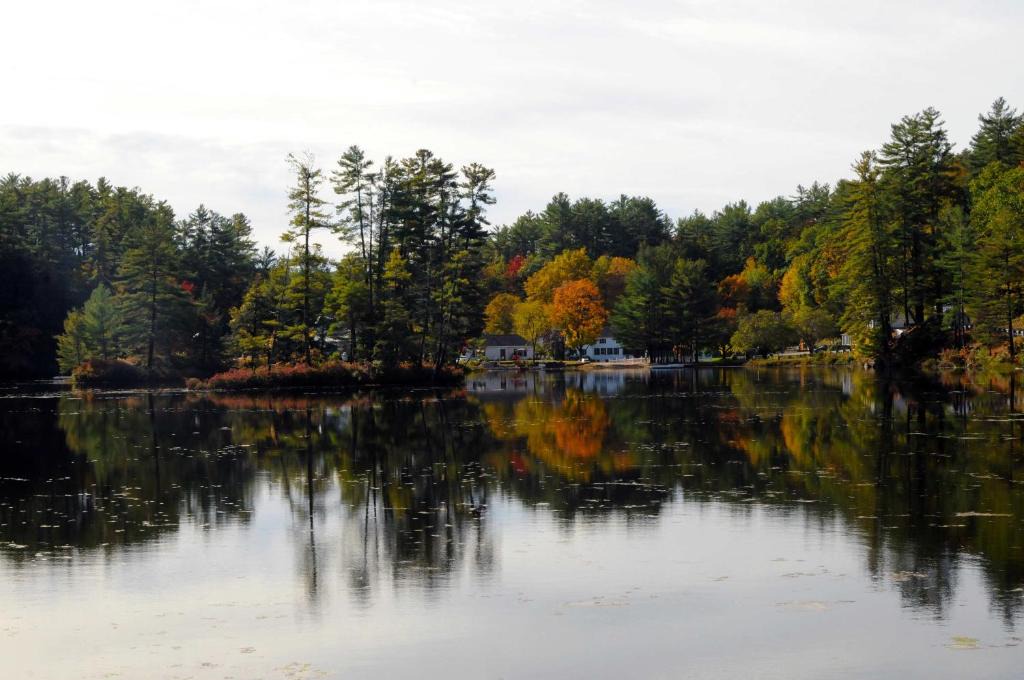 East Madison Hotel | Purity Spring Resort