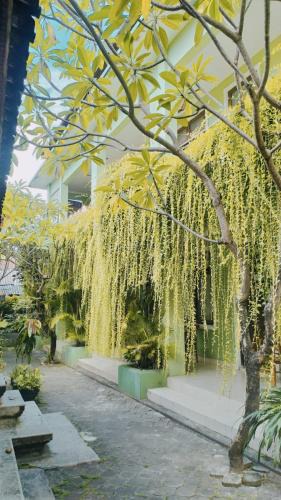 Kuta House | PURNAMA HOUSE KUTA