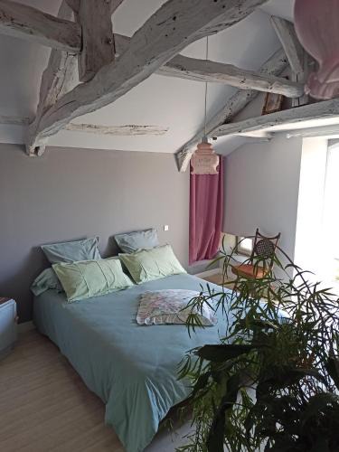 Luzech Bed & Breakfast | Quai n5