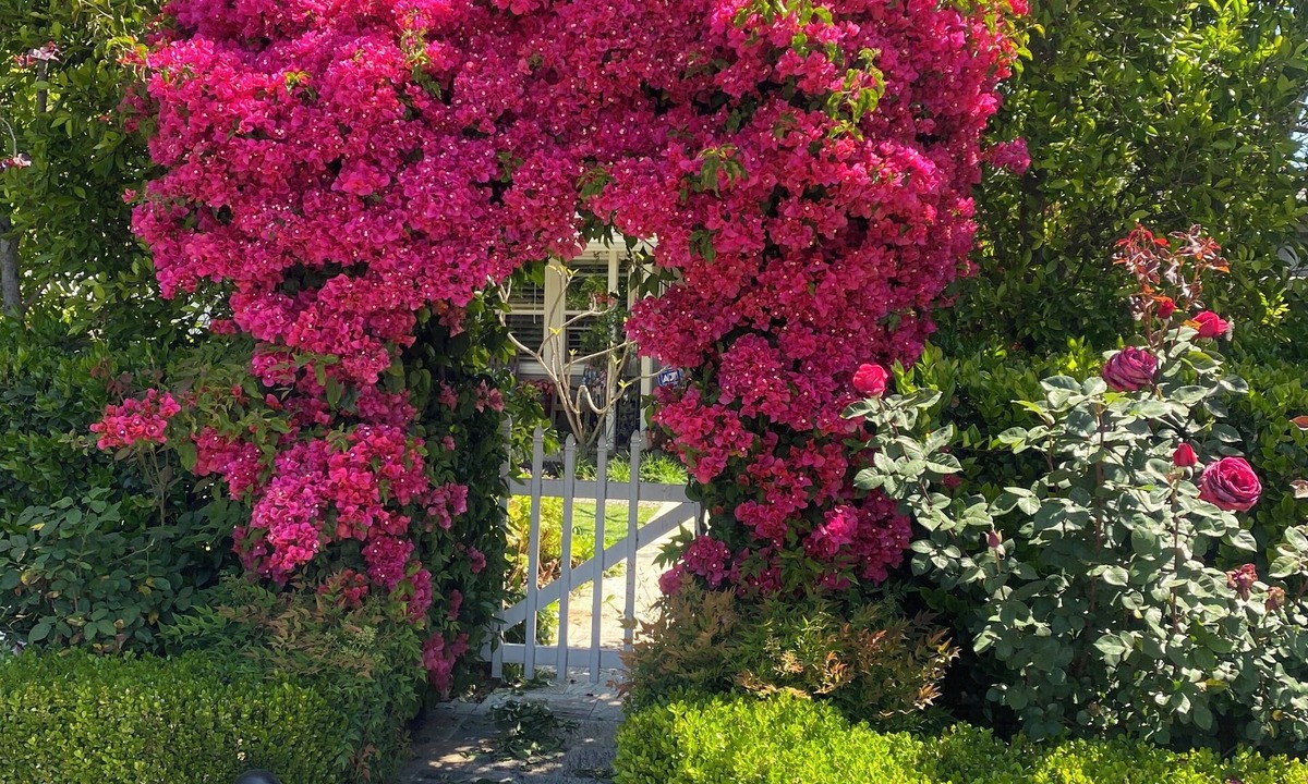 Valley Glen Bed & Breakfast | Quaint 1-bedroom bed & breakfast with AC in Los Angeles
