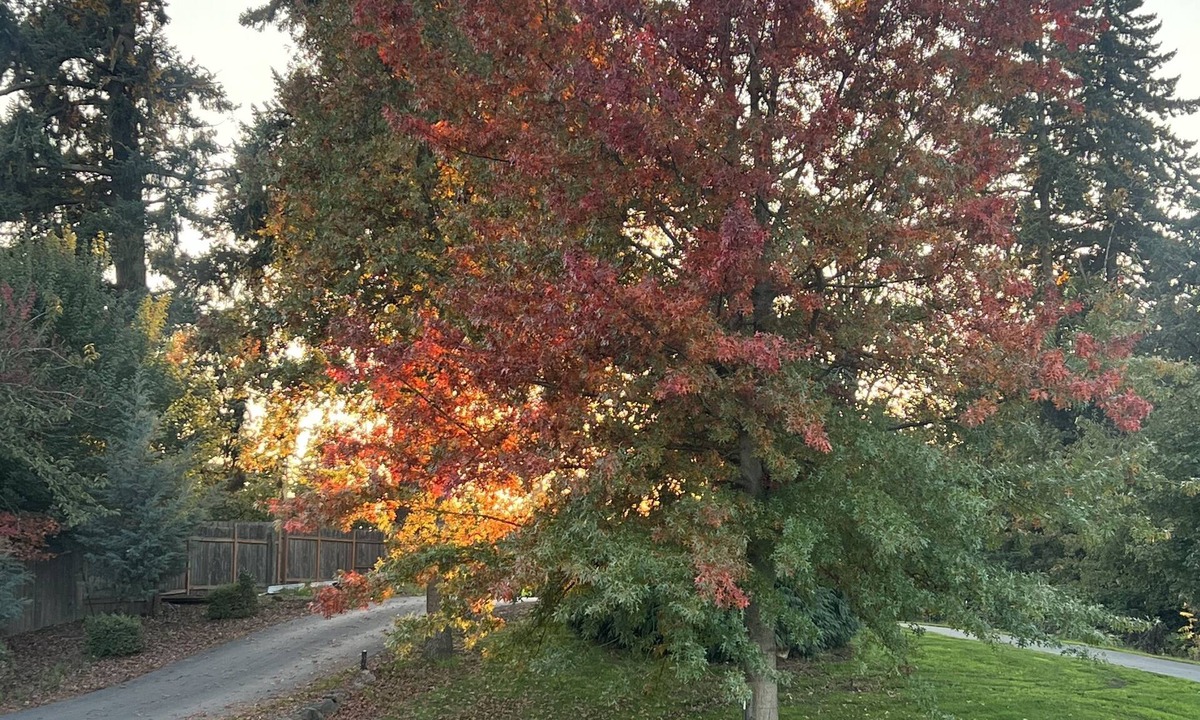 Hubbard Cabin | Quaint cabin