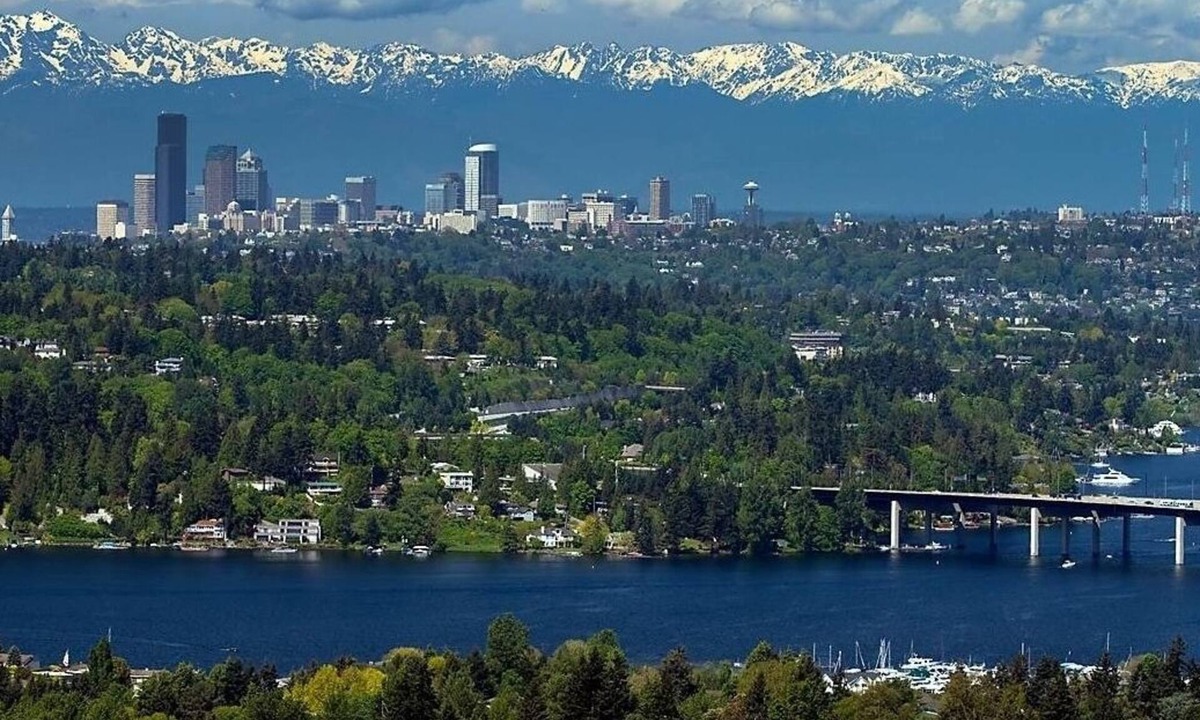 Somerset Apartment | Quality Luxury Apartment With Killer View & Double Studio