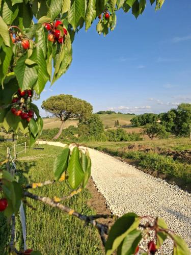 Marsac House | Que Pour 2