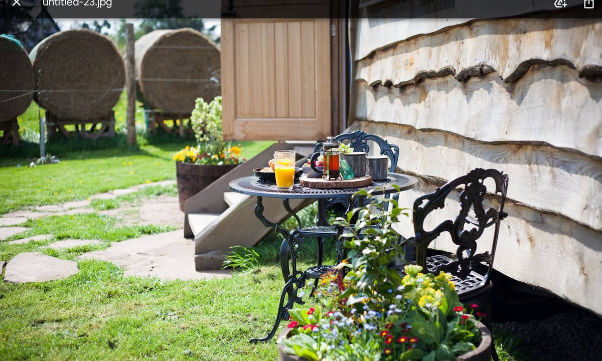 Much Birch Cabin | Queen Bee cabin with fantastic views