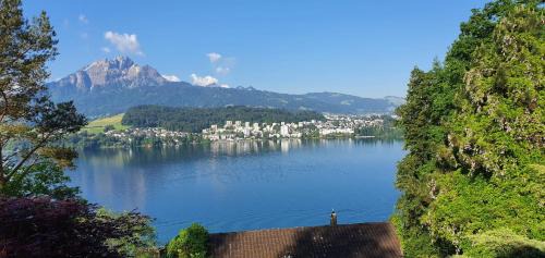 Lucerne Apartment | Queen Home