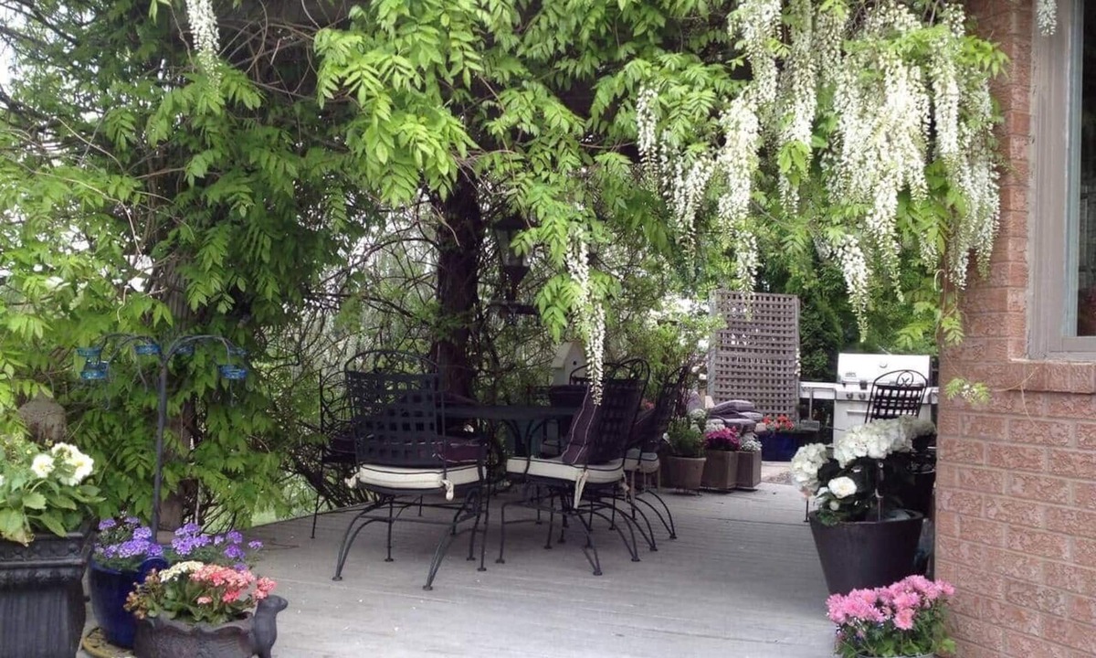 Historic Old Town House | Queen Room – Shared Bathroom