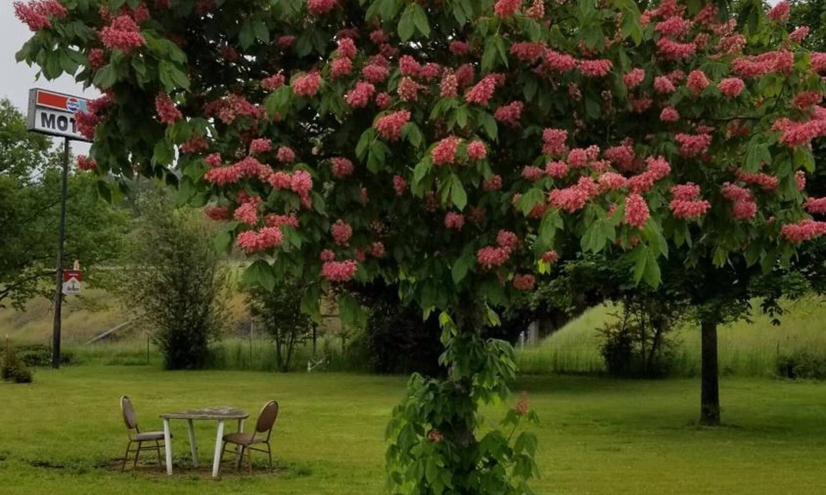 Myrtle Creek Hotel | Quick Stop Motel