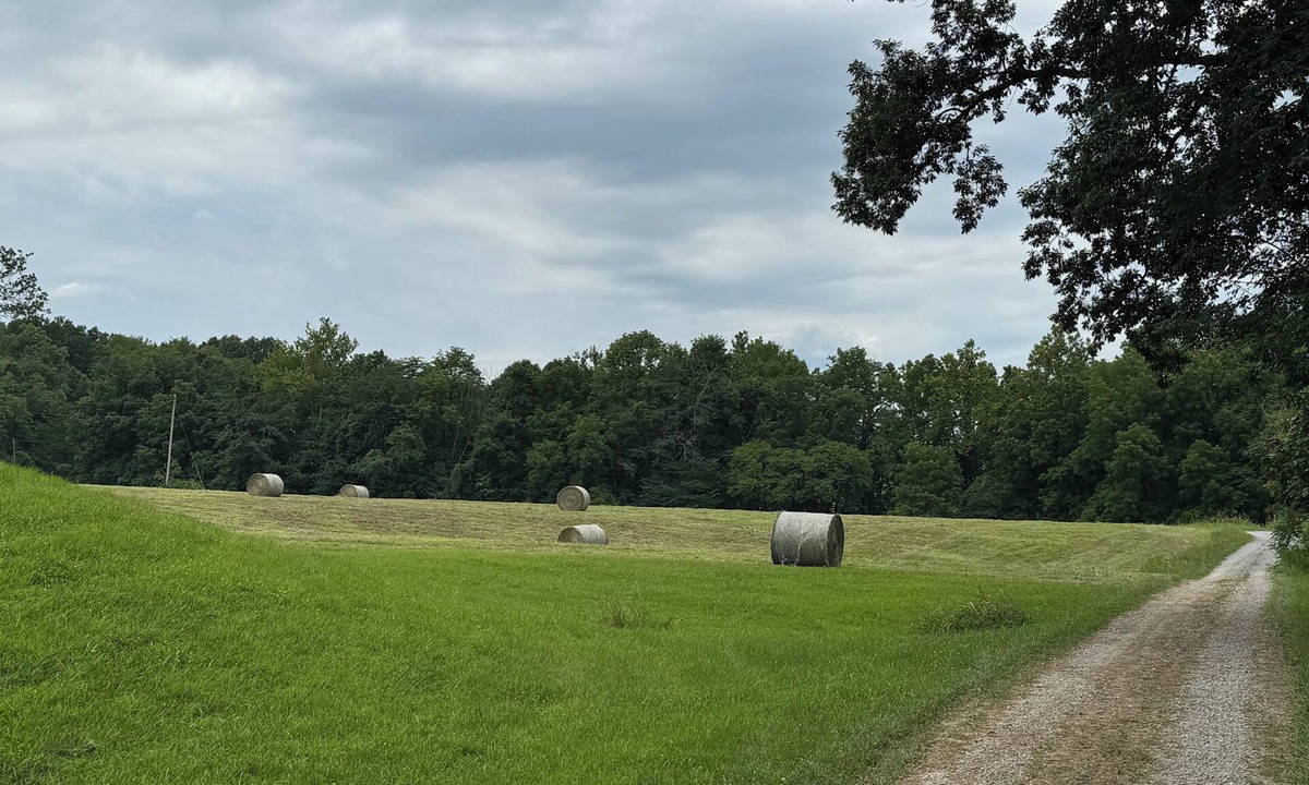 Perks House | Quiet 4-Bedroom Farmhouse
