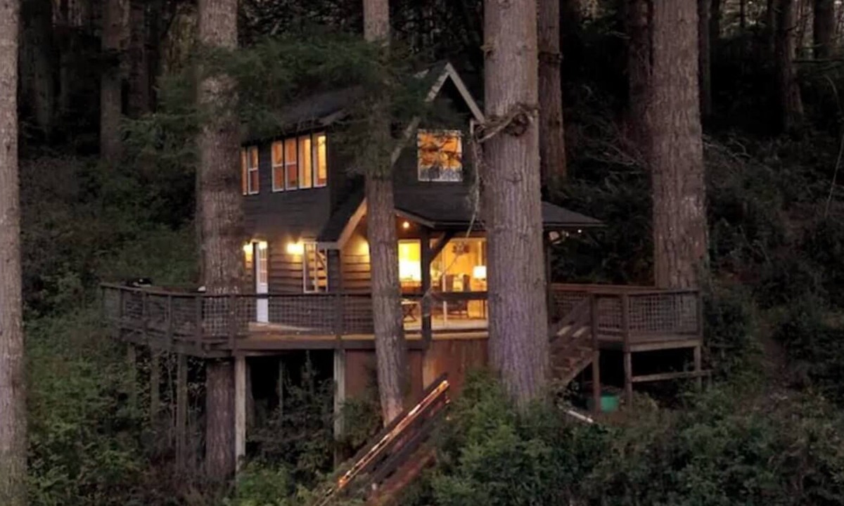 Lakeside Cabin | Quiet and Serene Cabin in the Tree's