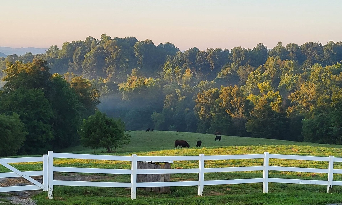 Edmonton House | Quiet farm stay, hike, mushroom hunt, see the animals, relax, so much more!