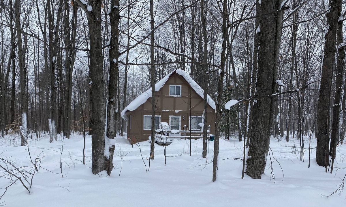 Elmira Cabin | Quiet Romantic Cabin - Pet Friendly