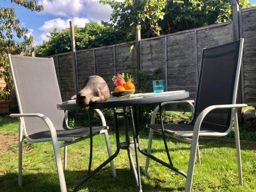 Crofton Park Bed & Breakfast | Quiet room