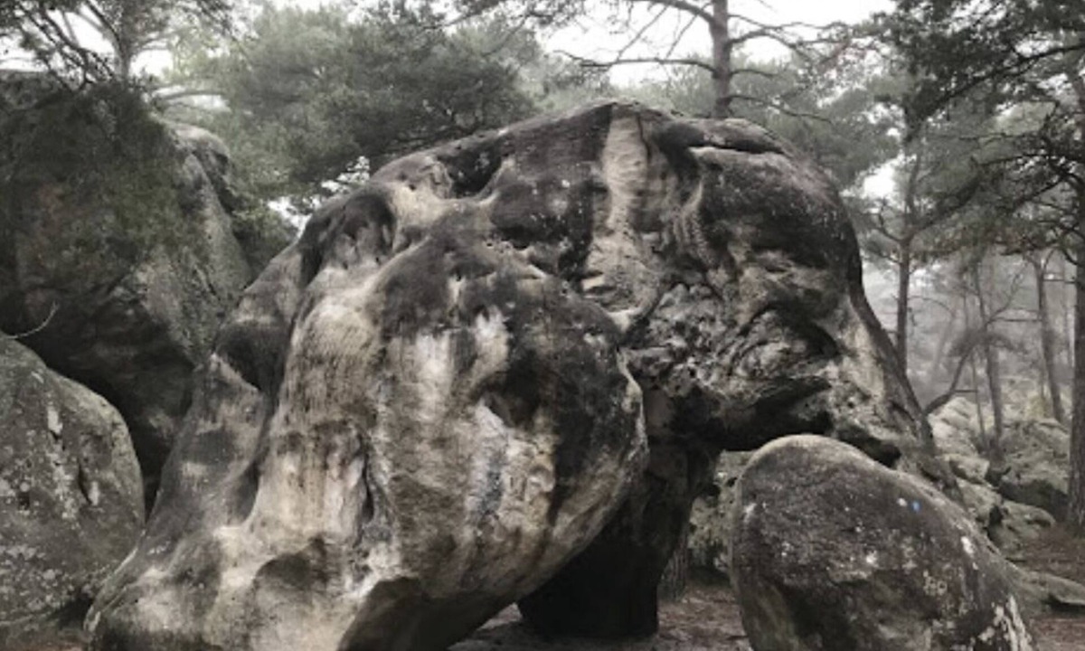 Sceaux-du-Gatinais Other | Quiet, spacious homes with Jacuzzi