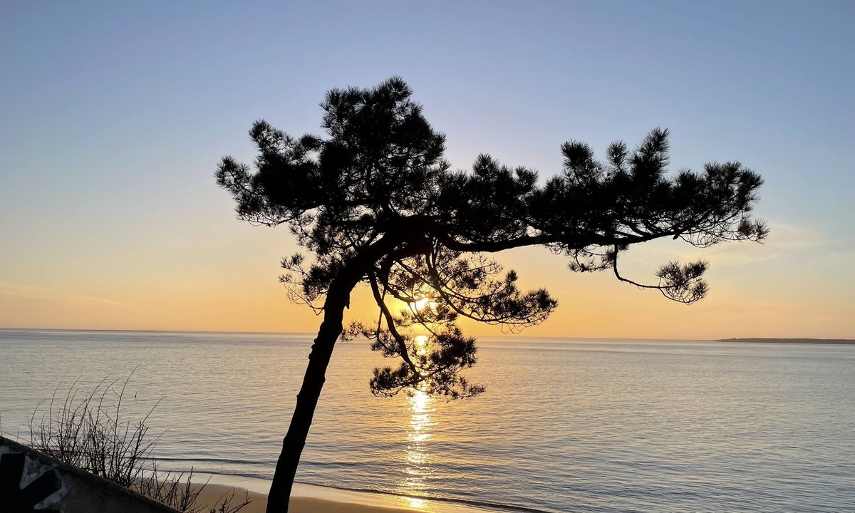 Audenge Villa | Quiet villa between Cap Ferret and Arcachon