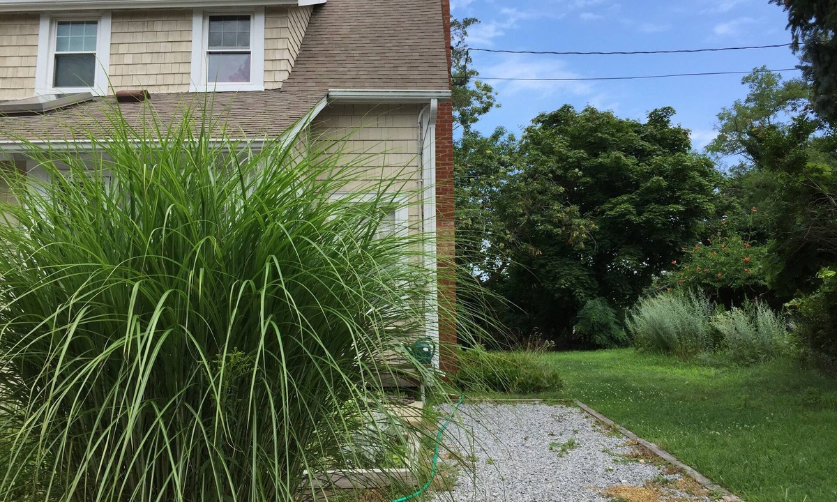 Suffolk County Apartment | Quirky Beach Studio!