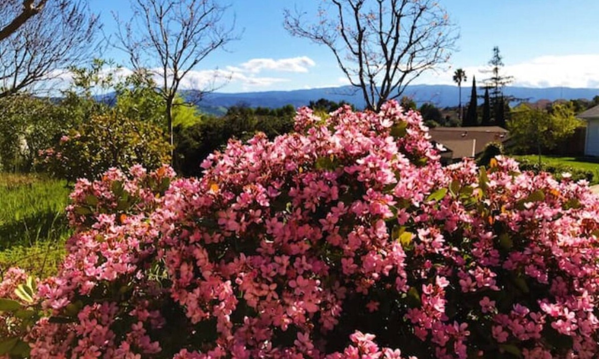 Edenvale House | Quite guest-unit on a hilltop, an ideal longterm