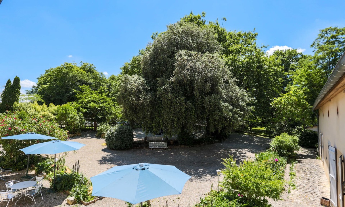 Cazaubon House | Résidence du Chateau de Bégué