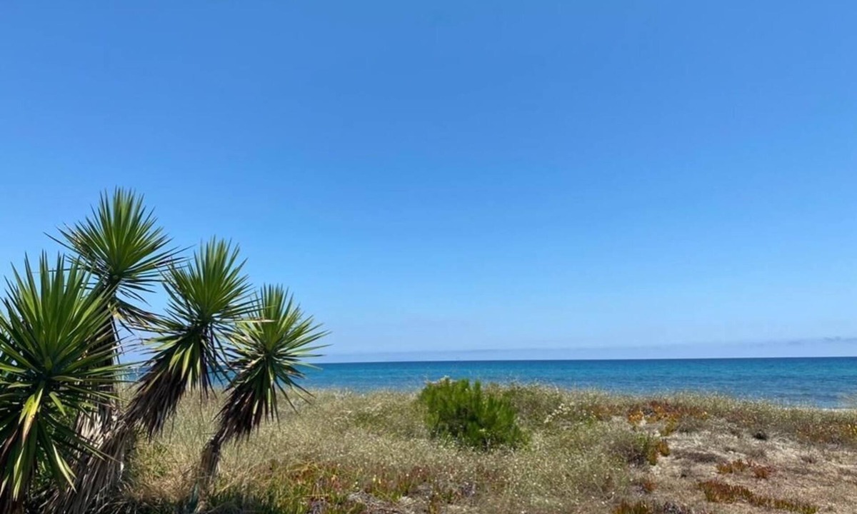 Saint-Paul-les-Dax House | Résidence Les Chênes