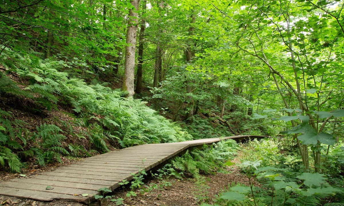 Slette Strand Hotel | Rønnes Hotel