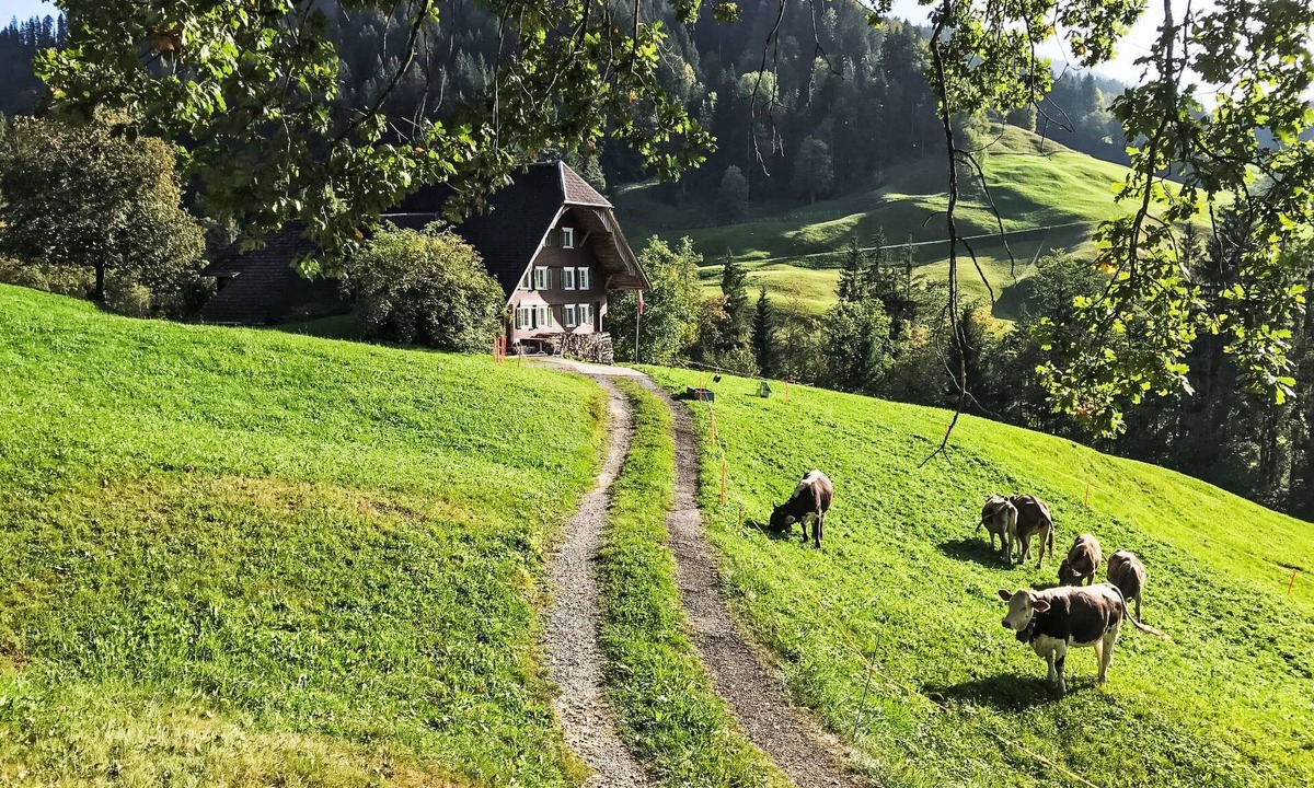 Marbach House | Rüttimätteli by Interhome