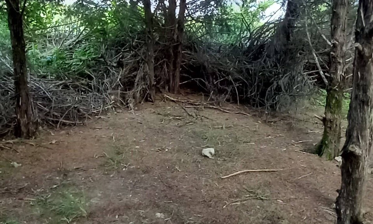 Elkland RV Rental | Rabbit's Den @B Berry Farms