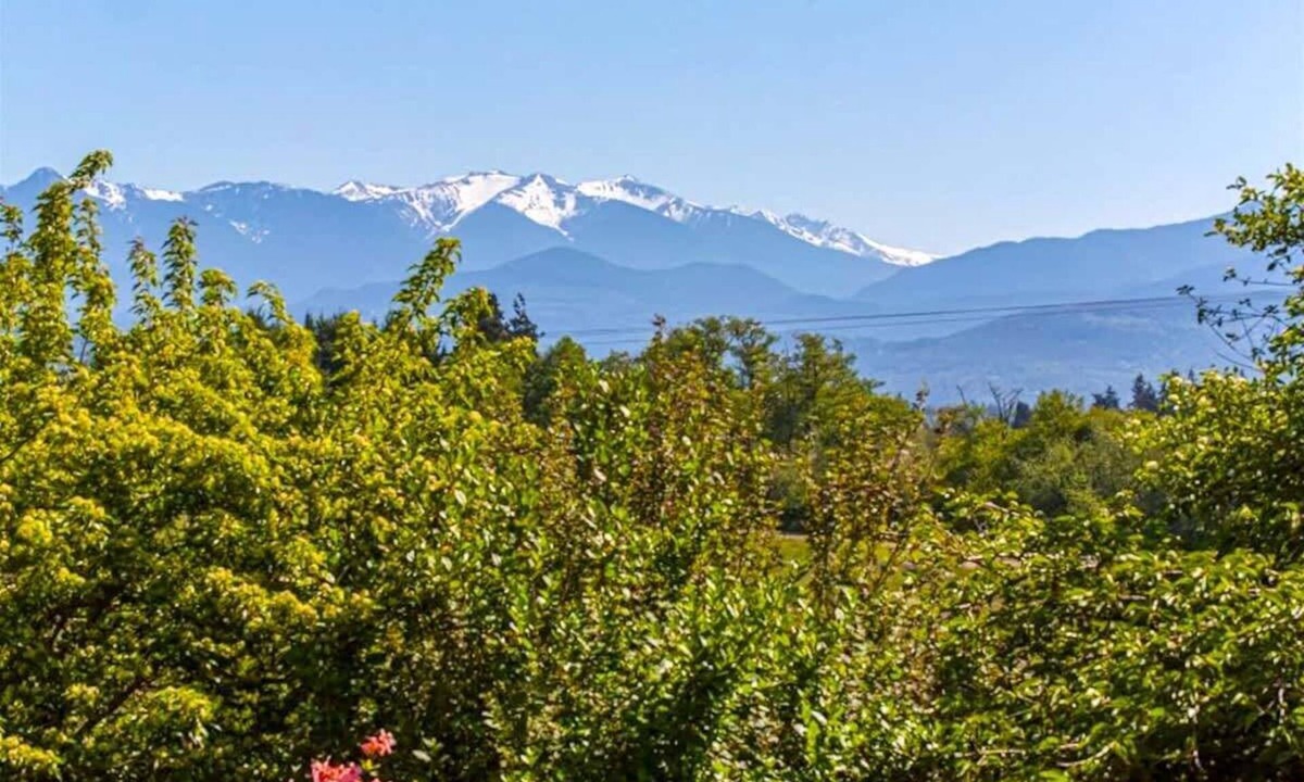 Sequim Apartment | Rabbit's Peaceful Retreat with Stunning Views