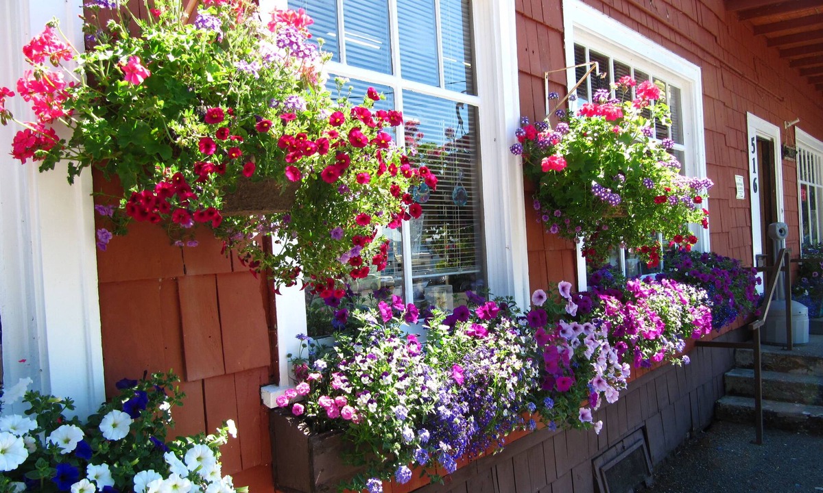 Quinault Hotel | Rain Forest Resort Village