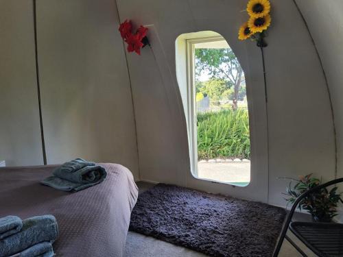 Whakatiwai Other | Rainbow Rose