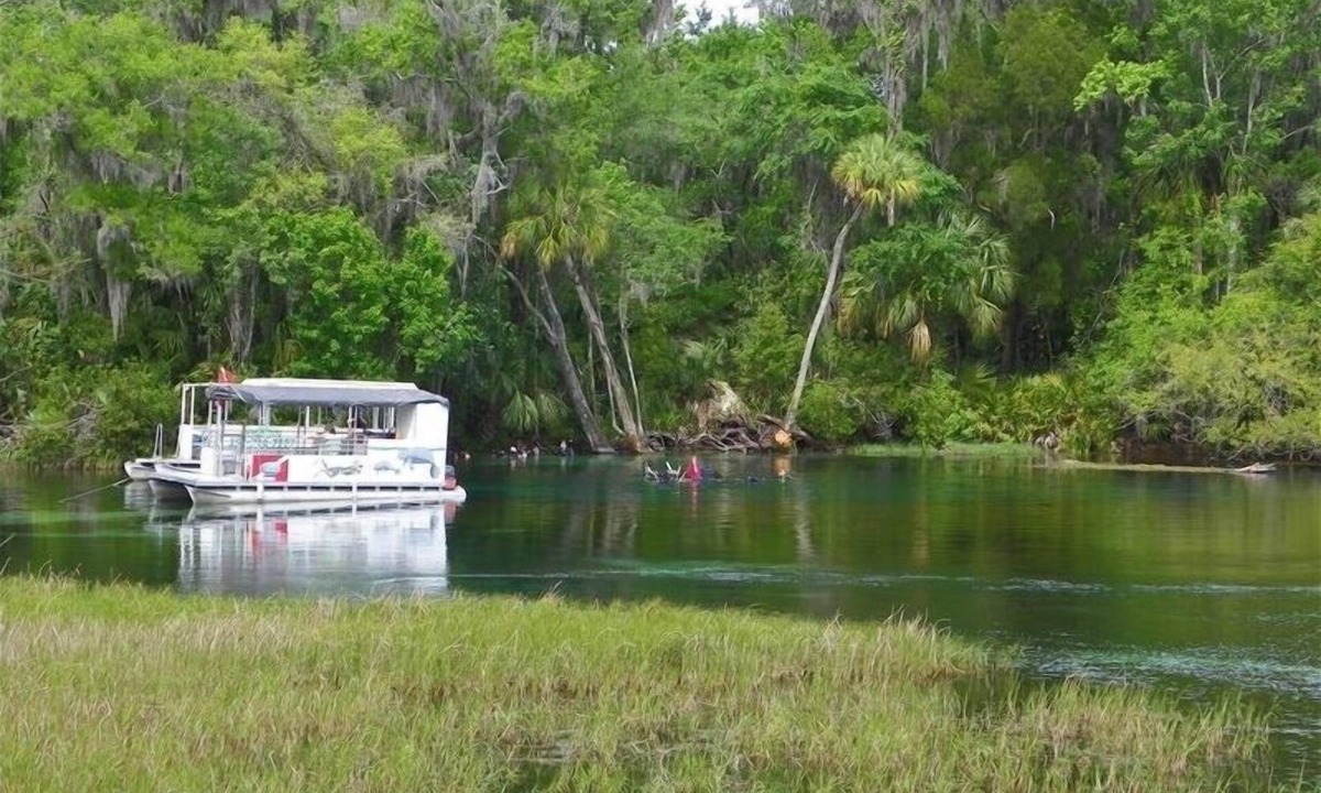 Dunnellon House | Rainbow Springs Retreat - Directly on Main Dive Springs