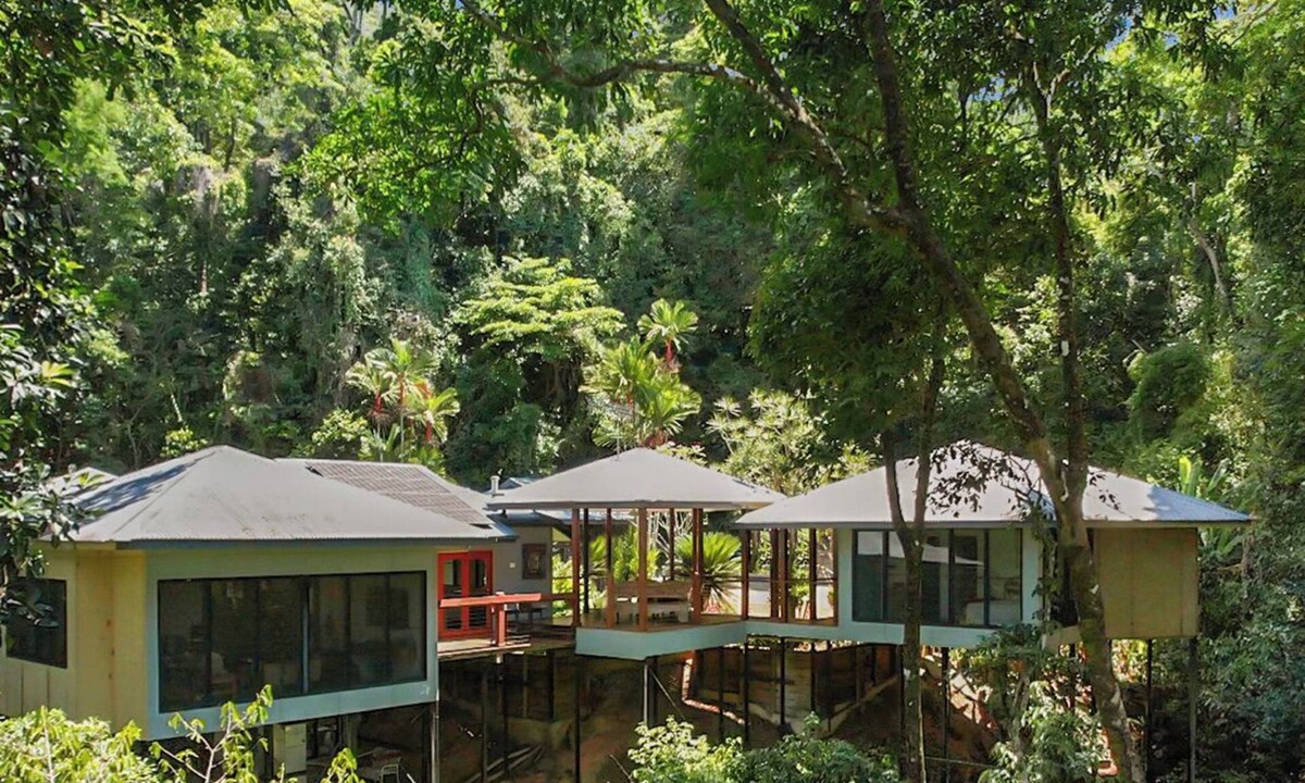 Edmonton House | Rainforest Relaxation.