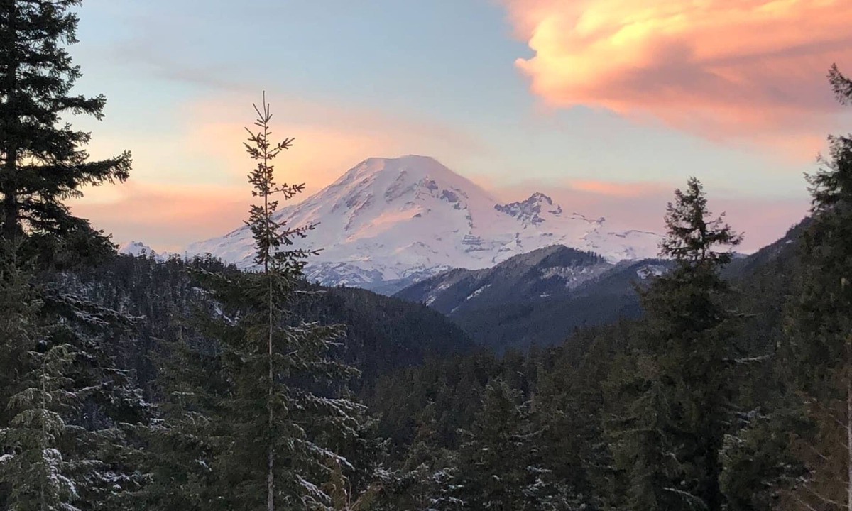 Packwood Cabin | Rainier Retreat close to White Pass