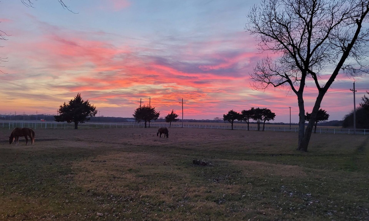 Pilot Point Other | Ranch at Lake Ray Roberts - 10 Acres ranch, walk to lake 4 Bed 2 Bath