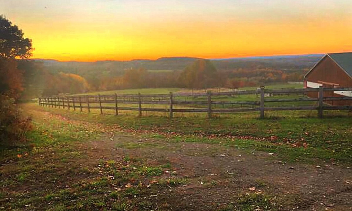 Nunda Apartment | Ranch-Hand Cabin Near Letchworth State Park