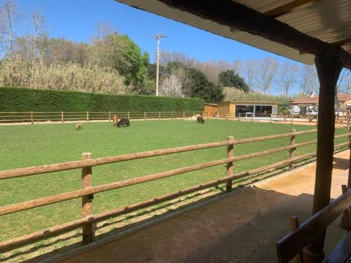 Castell-Platja d'Aro Bed & Breakfast | Rancho Catalan 2