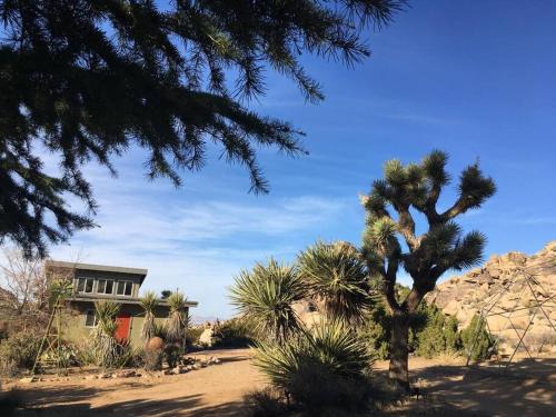 Monument Manor House | Rancho Rockotillo - Breakfast in the Boulders!