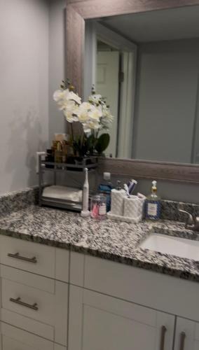 Coliseum Central Apartment | Raqsea Condo