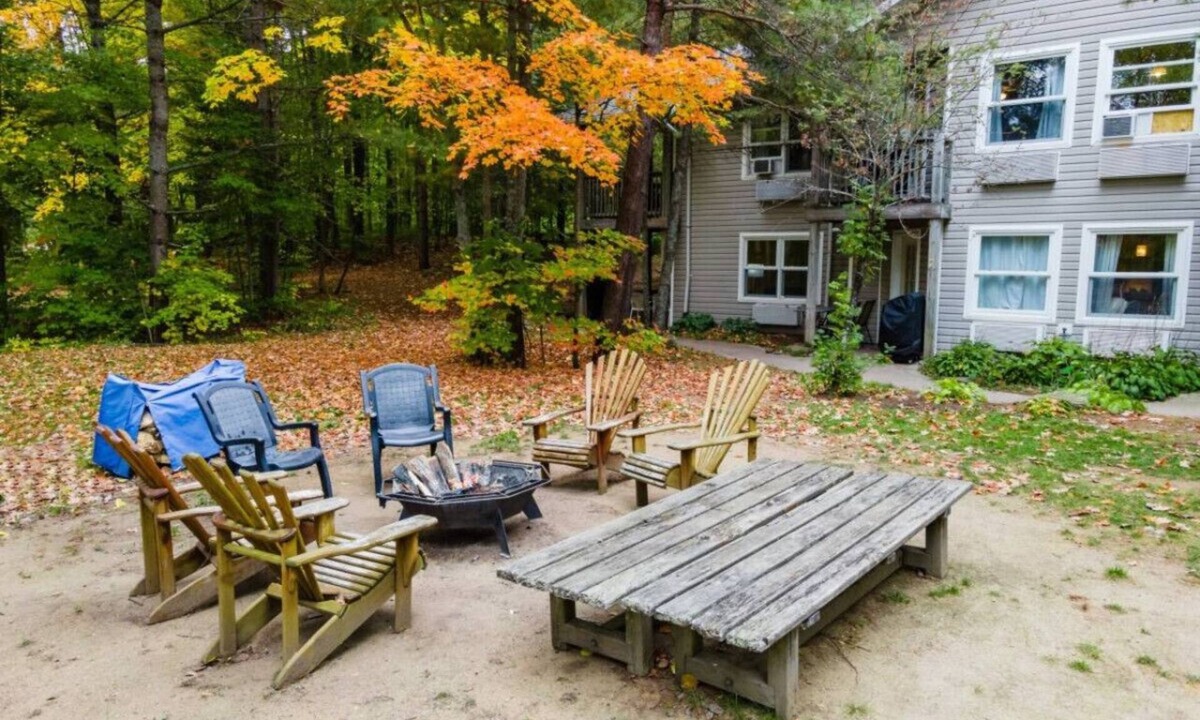 Dwight Cabin | Rare Muskoka Chalet Suite - A3
