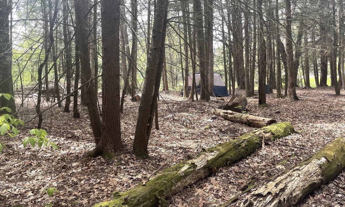 Woodridge RV Rental | Raw Camping.