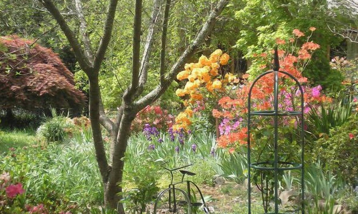 Buckland House | Reading Annie's Garden