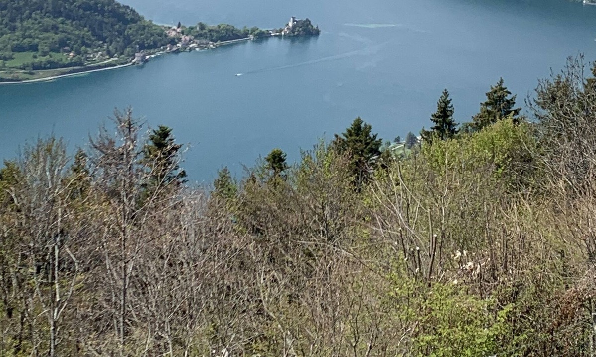 Groisy House | Recent modern and bright house with fireplace