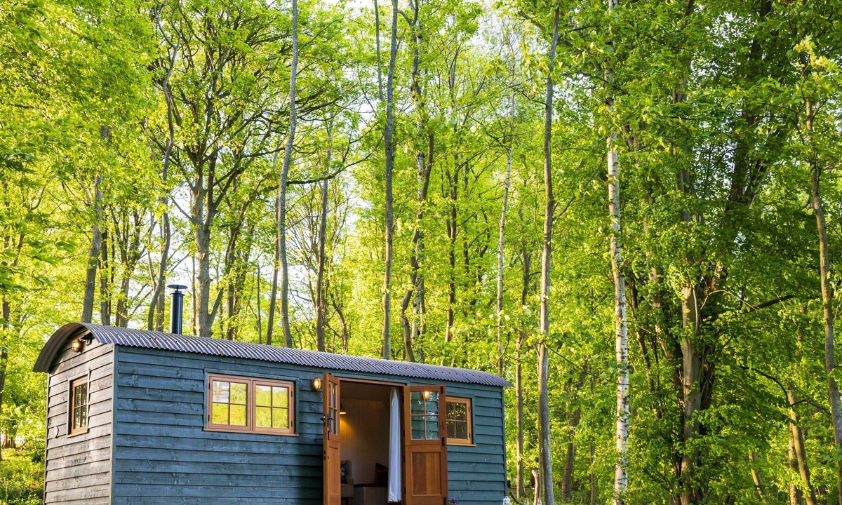 Maidensgrove Apartment | Red Kite Retreat - Allium - Shepherds Hut 2