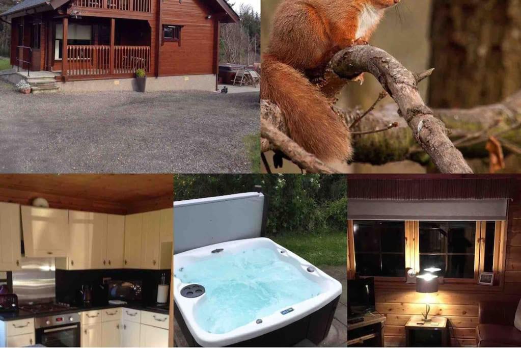 Keith Ski Chalet | Red Squirrel log cabin with hot tub