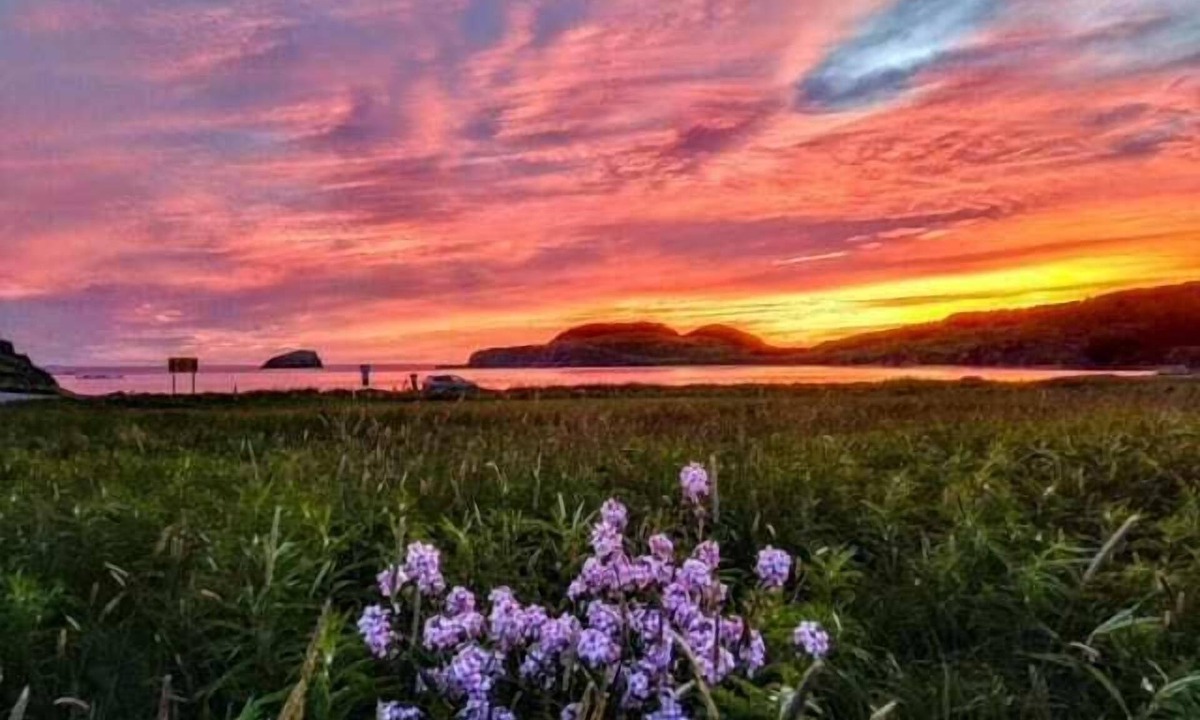 Twillingate Cottage | Red Sunset Cottage in Twillingate