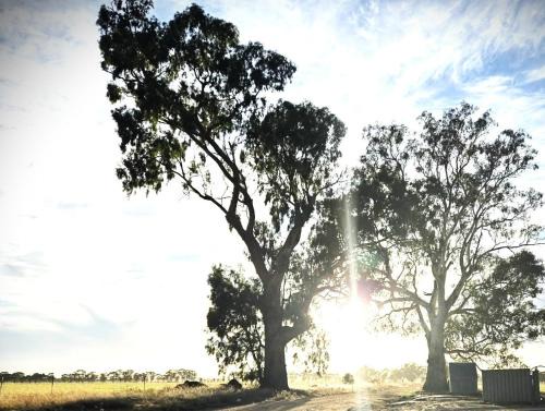 Natte Yallock Villa | Redgum River Retreat