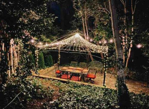 Carmichael House | Redwood Garden